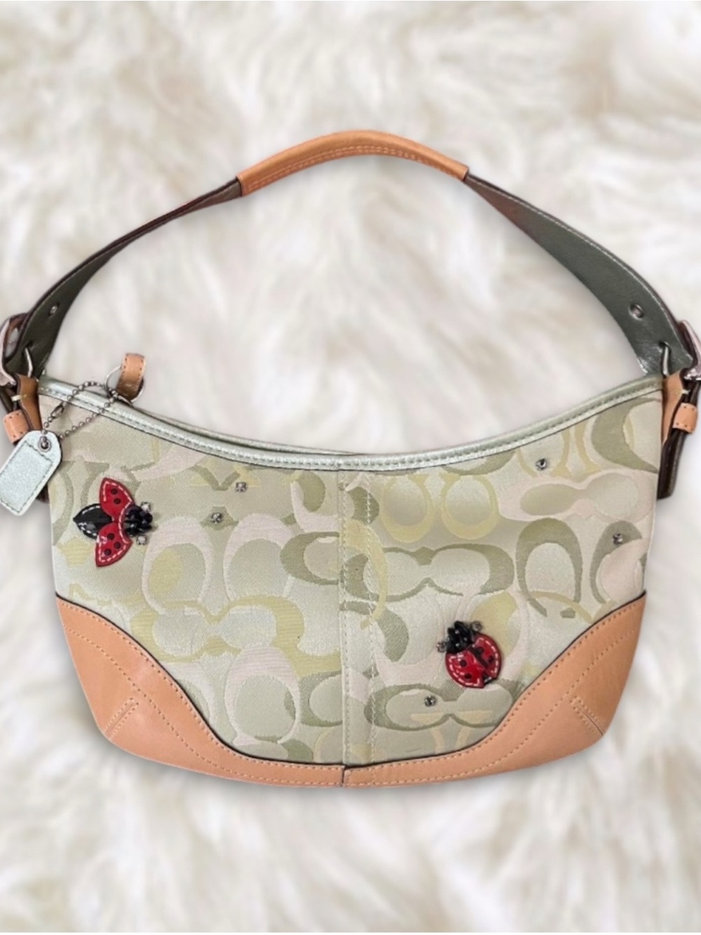 Looking for 2004/2005 Coach Jacquard LadyBug Bag🐞